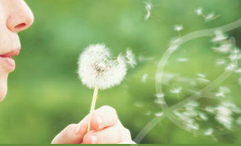 sostenibilidad ambiental