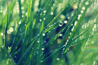 sostenibilidad medio ambiente