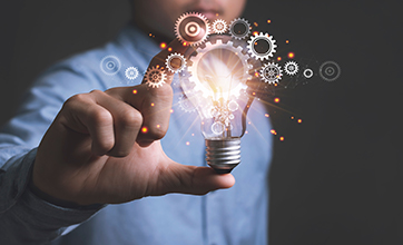 innovación y calidad