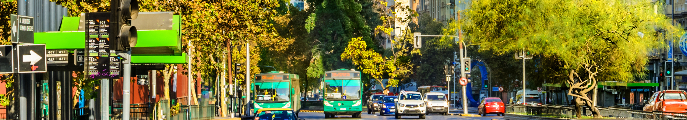 Distribución Económico Generado
